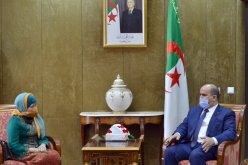 شنين يستقبل سفيرة اندونيسيا لدى الجزائر