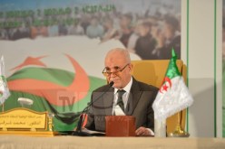 شرفي يعلّق على تعمّد الوزيرة كريكو رفع ورقة واحدة قبل قيامها بالتصويت:”التصرف الذي قامت به وزيرة التضامن يلزمها كشخص وكان من دون مفعول”