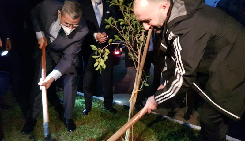 جراد يُشارك بلماضي: “كل شجرة ضاعت سنواجهها بالتشجير.. جوابنا لأعداء الحياة”