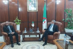 إندونيسيا تُثمن سياسة الحكومة الجزائرية في مكافحة كورونا