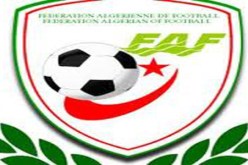 الفاف تصادق على مقترح بناء فندق بأربعة نجوم