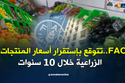 الفاو تتوقع إستقرار أسعار السلع الزراعية للعقد المقبل