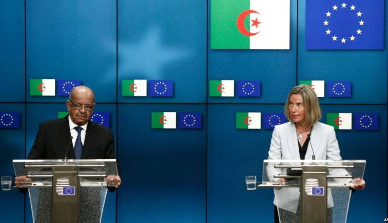 فيديريكا موغيريني غدا  بالجزائر للتعاون في مكافحة الإرهاب