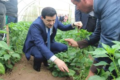 غول يحفر لسيد أحمد فروخي