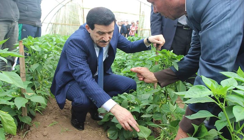 غول يحفر لسيد أحمد فروخي