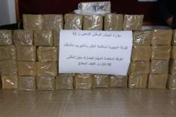 بالصور.. حجز 50 كلغ من الكيف المعالج بعين الدفلى