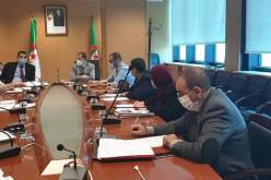 رزيق: دفتر شروط جديد للمستوردين البائعين على الحالة