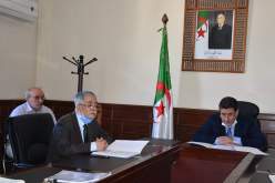 المصادقة على مشروع مرسوم إنشاء ديوان تطوير الزراعات الصناعية في المناطق الصحراوية