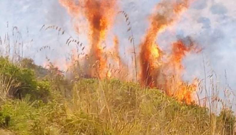 حريق مهول في غابة بوعثمان بتيبازة وعملية الاخماد متواصلة