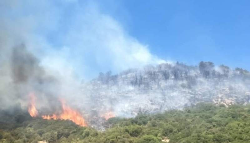 الشلف: إندلاع حريق غابة ببلدية سيدي عكاشة