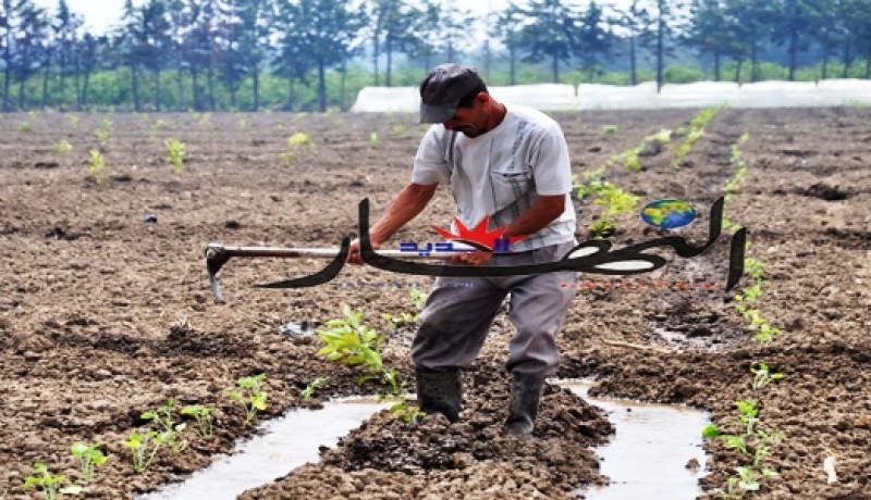 قروض بمئات الملايين لكل فلاح‮ ‬يزرع مادة الصوجا