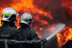 40 هكتار من المحاصيل خسائر الحرائق في المدية