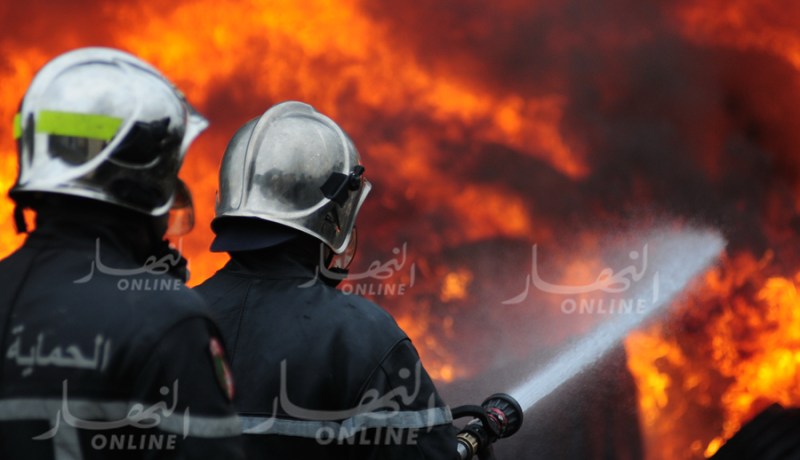 40 هكتار من المحاصيل خسائر الحرائق في المدية
