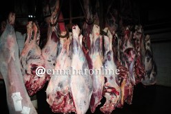 جلاب: إستيراد اللّحوم لا علاقة له بالبلد المورّد