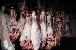 استيراد اللحوم البرازيلية.. مسموح