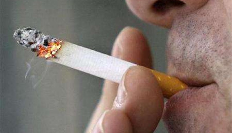 أكثر من 600  ألف شخص يموتون كل عام بسبب التدخين