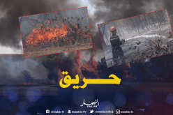 بالصور ..نشوب حريق مهول بغابة فيظ الترك في سيدي بلعباس