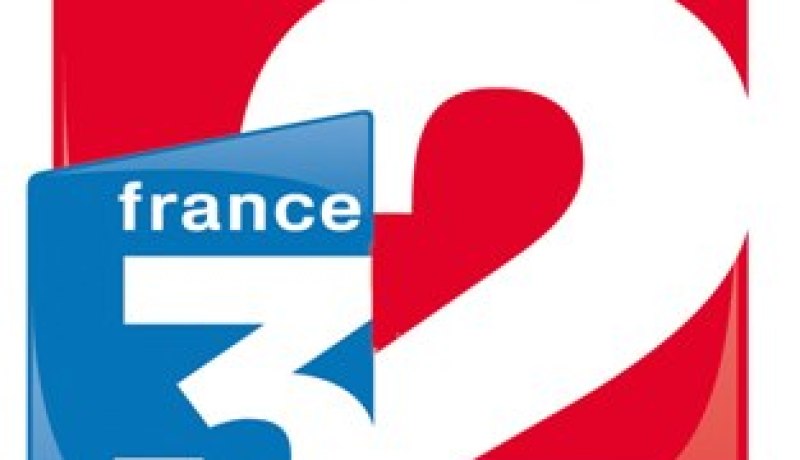 قناتا ''فرانس'' 2 و 3 تضمنان بثّ مباريات ''الخضر'' في المونديال مجانا