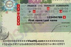 مسيران سابقان في شباب بلوزداد متهمان بالتزوير للحصول على فيزا