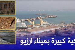 ميناء أرزيو ..تصدير كميات من الحديد إلى إفريقيا قريبا