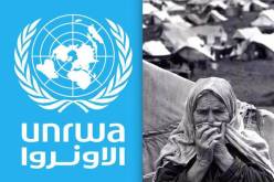 واشنطن توقف تمويل وكالة الأمم المتحدة لغوث وتشغيل اللاجئين الفلسطنيين