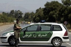 حجز أكثر من 4.5 طن من الكيف المعالج بالنعامة