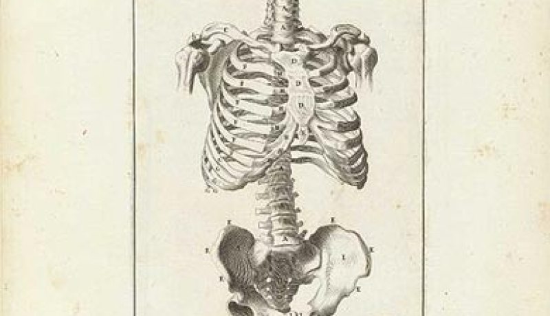 أدوية هشاشة العظام تحمى من الكسر بعد سن اليأس