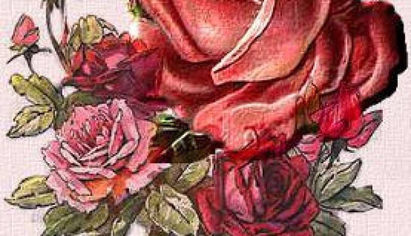 فنانون يؤدون الواجب