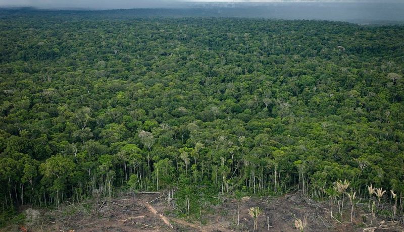 شاهد.. العثور على ليبي تائه في غابات الأمازون منذ 2012!