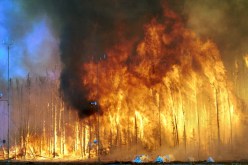 الحرائق تتلف 127 هكتارا من الغابات والأدغال بسوق أهراس