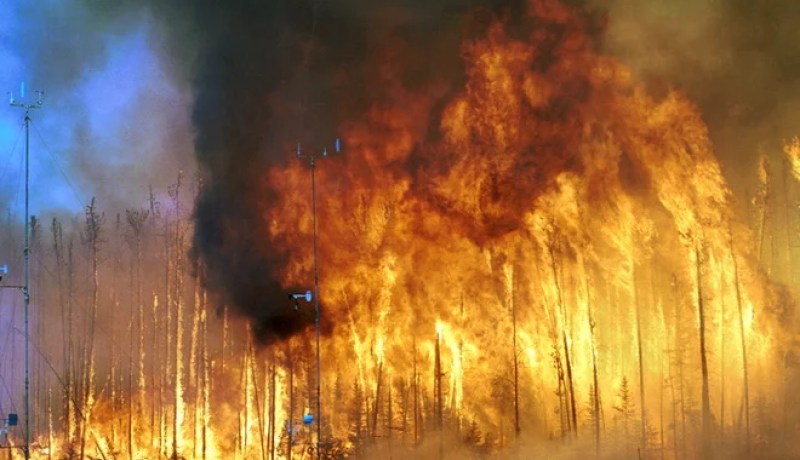 الحرائق تتلف 127 هكتارا من الغابات والأدغال بسوق أهراس