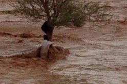 غرق24 شخصاً  في مناطق مختلفة جراء السيول بالسعودية