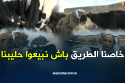 سعيدة.. المسالك الريفية تعيق الحاج ولد قادة من تسويق الحليب