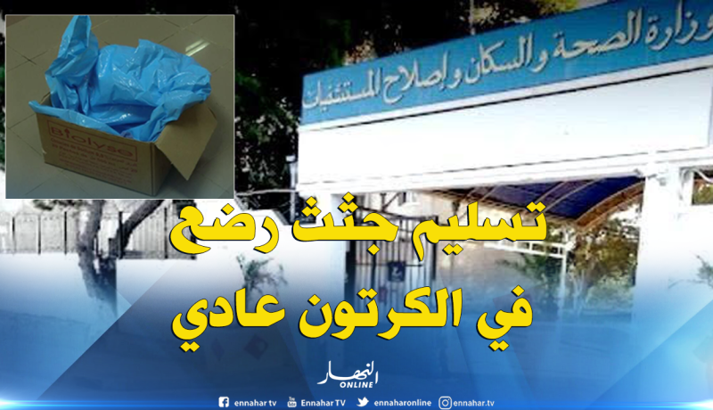 تسليم جثث رضع بعلب كارتون أمر عادي ومعمول به بكافة المستشفيات!!!