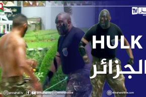 شاهد ..دخول وحشيّ لhulk الجزائر..رئيس الجمهورية وشنقريحة ينبهران بقوّته !!