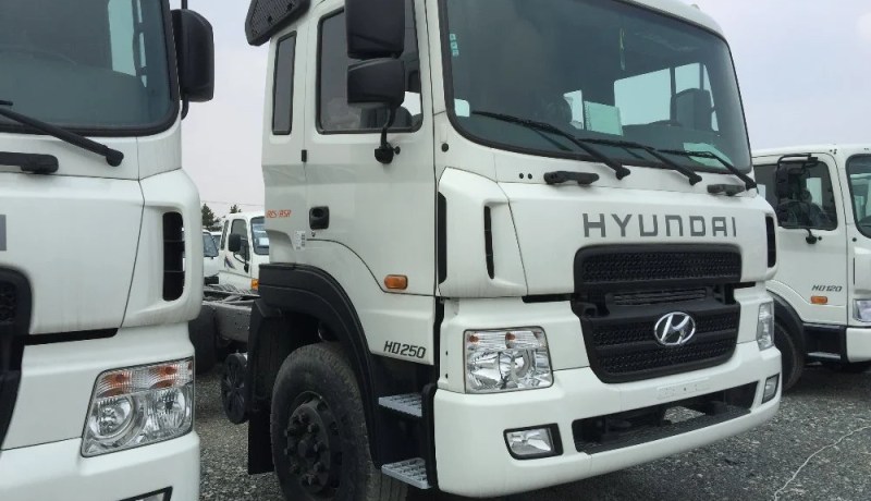 «إنتائج 40 ألف حافلة وشاحنة جزائرية من نوع هيونداي بداية من 2019»