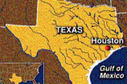 عالم أمريكي ينجح في تحويل خلايا الجلد إلى خلايا قلب