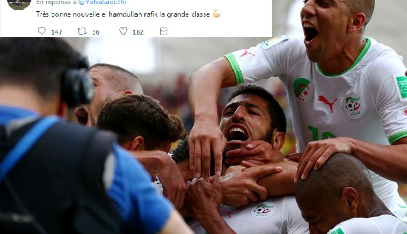 فغولي يُهنئ حليش بعد إنضمامه إلى “إستوريل” البُرتغالي