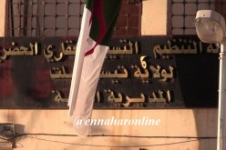برلماني وإطارات بوكالة التسيير والتنظيم العقاري لتيسمسيلت مهددون بالسجن !