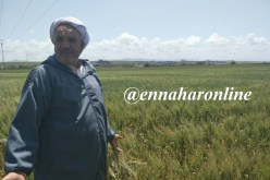 «شوف الحڤرة شوف.. سيدي الرايس شوف»!