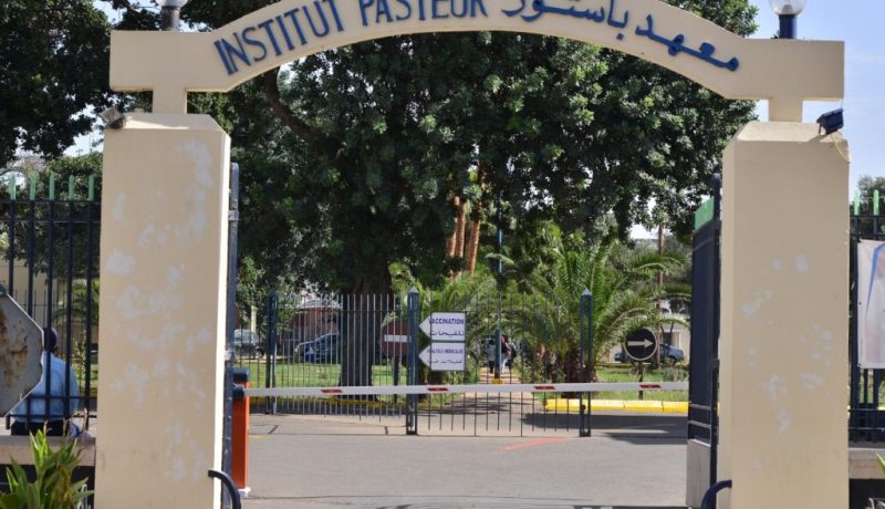 إطلاق برنامج وقائي واسع بولاية ورقلة خلال فصل الصيف  
