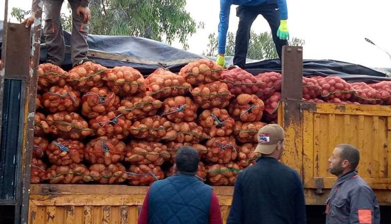 توزيع 200 طن من البطاطا مجانا على سكان البليدة