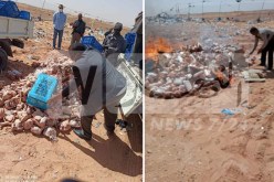 حجز أزيد من 23 قنطارا من الدجاج الفاسد بتيميمون 