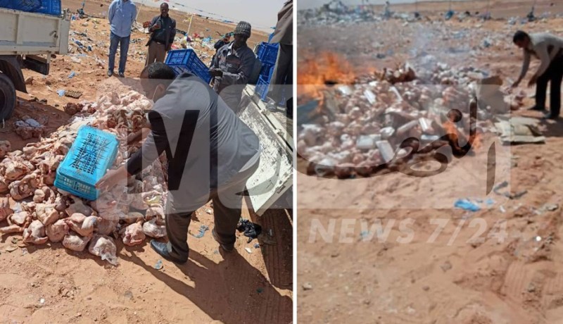 حجز أزيد من 23 قنطارا من الدجاج الفاسد بتيميمون 