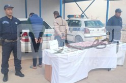 توقيف مشتبه فيهما وحجز مؤثرات عقلية وأسلحة بيضاء ببشار