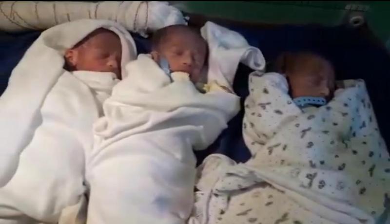 سيدة ترزق بـ 3 توائم ذكور بولاية غيليزان