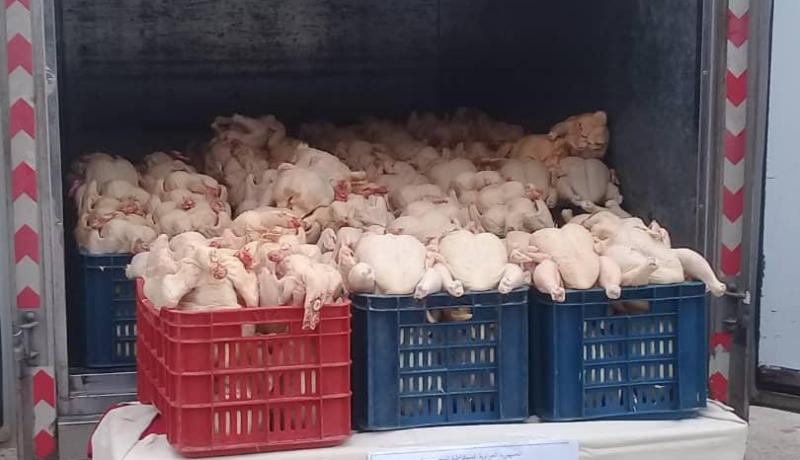 بجاية: الدرك الوطني يحجز 710 كلغ من لحم الدجاج الفاسد بتيشي