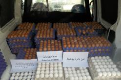 الطارف: أمن دائرة بوحجار يحجز 3900 بيضة غير صالحة للإستهلاك