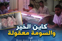 وزارة التجارة: إستيراد 4 ٱلاف طن لحوم من البرازيل.. وسعرها لن يتجاوز 1200 دينار في رمضان