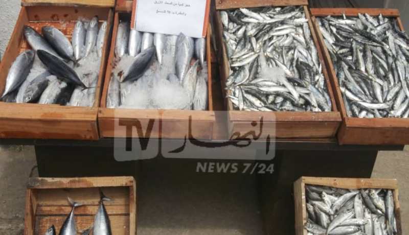 حجز قنطار من السمك غير صالح للإستهلاك ببلدية بوحجار في الطارف